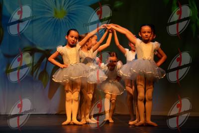 SHOW_00376.jpg